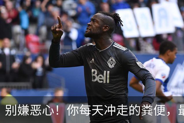 别嫌恶心！你每天冲走的粪便，最后竟全藏进城市这些秘密角落里！