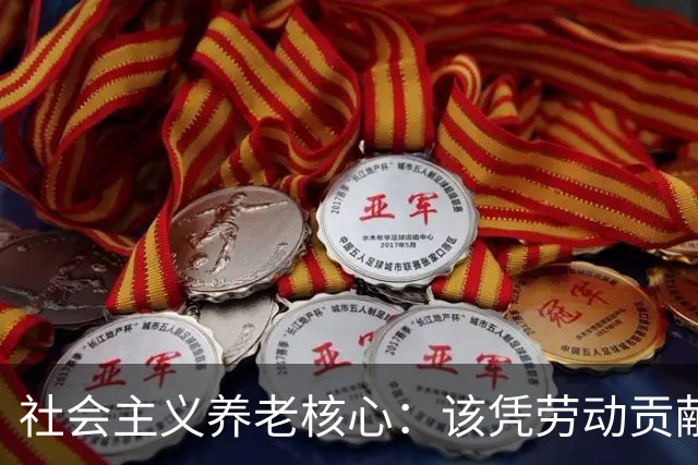 社会主义养老核心：该凭劳动贡献定待遇，绝不该按资本多少分高低